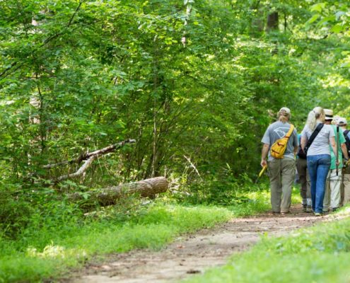 carolina-thread-trail-featured-trails-north-carolina